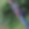 Dharampur Male Photo - Salman