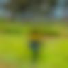 Male Photo - Cheeku