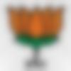 Bhainsa Male Photo - Bidda