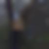Female Photo - Jass