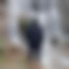 Male Photo - Vishu