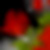 woman seeking men Gauribidanur near me photo - Sk