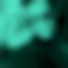 Coorgi Dating Male - Rajesh