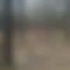 woman seeking men Muradnagar near me photo - Muskan