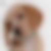 woman seeking men Mount Abu near me photo - Pinki