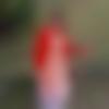 woman seeking men Chengannur near me photo - Kanchi