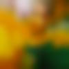 woman seeking men Chamrajnagar near me photo - Anita
