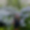 woman seeking men Kohima near me photo - Rose