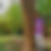Single Male - Praveen