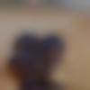 woman seeking men Samana near me photo - Payal