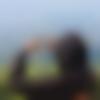 Male Photo - Ankit
