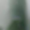 Female Photo - Palla