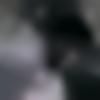 Male Photo - Barun