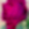 woman seeking men Dharapuram near me photo - Bonolota