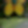 woman seeking men Bodhgaya near me photo - Thank