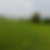 Single Male - Rahulnanirju