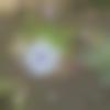 woman seeking men Mahendragarh near me photo - Anamika