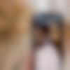 woman seeking men Arsikere near me photo - Bhavana