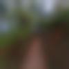 woman seeking men Lakshadweep photo - Shwetu