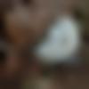Male Photo - Manas