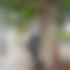 Male Photo - Dhiraj