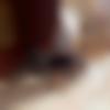 Male Photo - Praveen