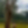 Female Photo - Nikitha