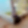 Male Photo - Muhammed