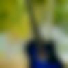 Female Photo - Sravani