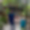 Raichur Male Photo - Shaurya