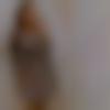 woman seeking men Barwadih near me photo - Nisha