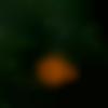 woman seeking men Ooty near me photo - Sana
