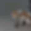 woman seeking men Mahe near me photo - Obian