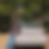 Single Male - Mahsrhi