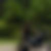 Male Photo - Uday