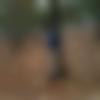 Male Photo - Ram