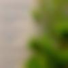 Garhwali member profile Photo, Email, Address and Contact Details - Kv