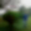 Harur Male Photo - Minturoy1