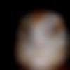 woman seeking men Nedumangad near me photo - Manju