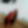 woman seeking men Nakodar near me photo - Amandeep