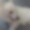 Single Female - Rekha