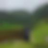 Himachal Pradesh single Male - Rishav