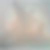 Single Female - Sg