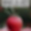 Single Male - Akash