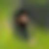 Single Male - Charan
