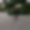 Male Photo - Hakim