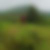 Male Photo - Chandu