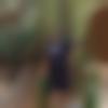 Daund Male Photo - Sam