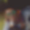 Santhali member profile Photo, Email, Address and Contact Details - Kamal