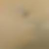 Male Photo - Sandeep